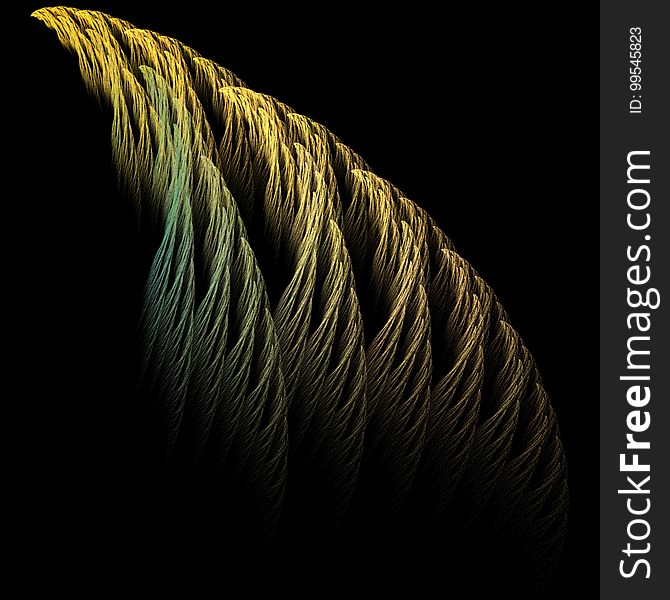 Feather, close up, macro photography, darkness, organism, computer wallpaper