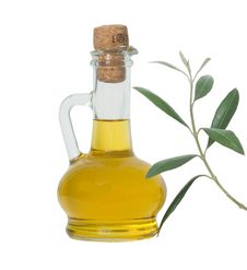 Bottle Of Olive Oil And Olive Branch Royalty Free Stock Image Bottle Of Olive Oil And Olive Branch Royalty Free Stock Image