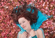 Young Woman Laying On Ground Covered With Petals Stock Photography