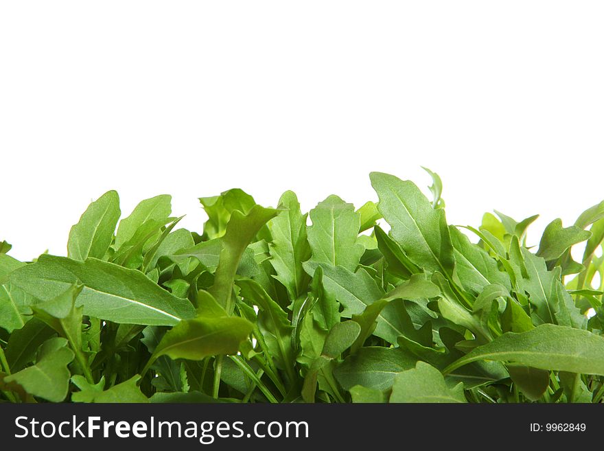 Rucola leaves isolated on white. Rucola leaves isolated on white