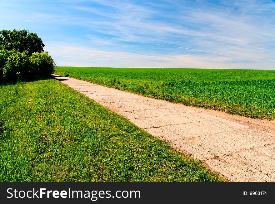 Concrete road going through green field with blue sky and white cirrus clouds