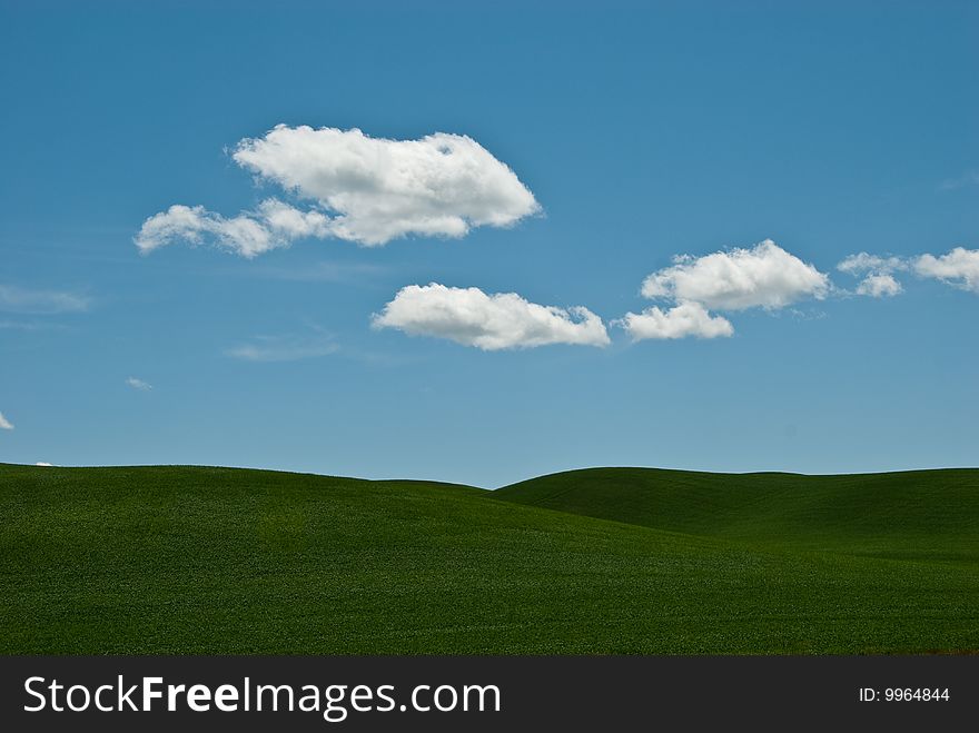 Clouds float above the wheat field in Washington state's Palouse region. Clouds float above the wheat field in Washington state's Palouse region.