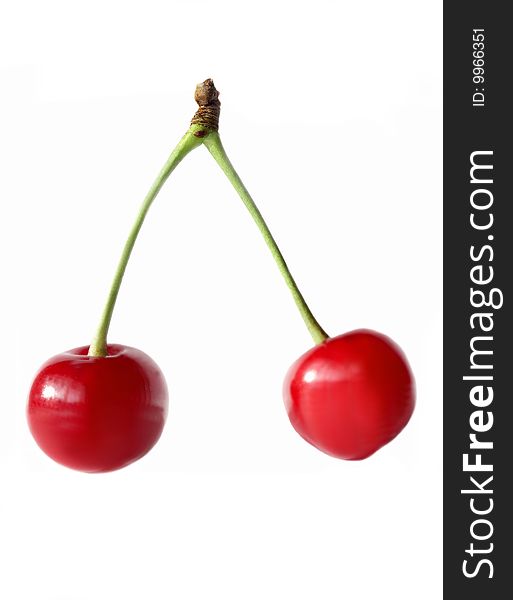 Two fresh picked cherries still attached to their stem. Two fresh picked cherries still attached to their stem