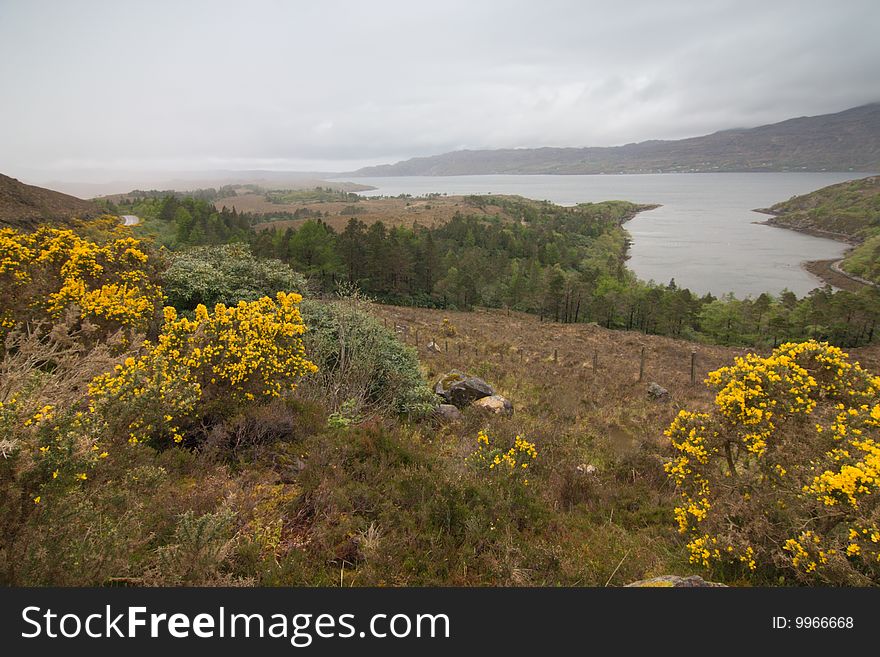 Scottish landscape - water and yellow flowers. Scottish landscape - water and yellow flowers