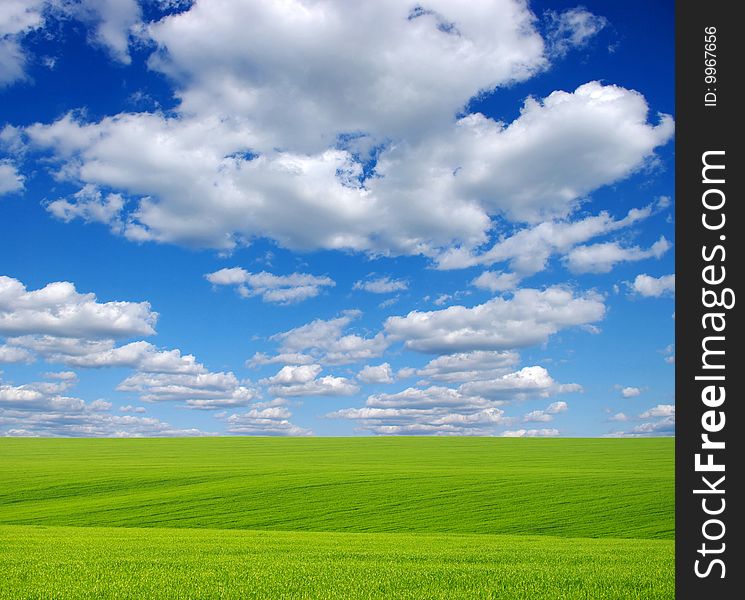 Green grass, the blue sky and white clouds. Green grass, the blue sky and white clouds