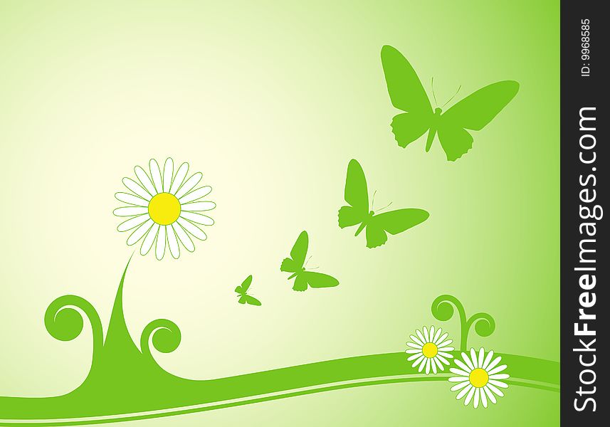 Illustration of daisy and butterflies on green background