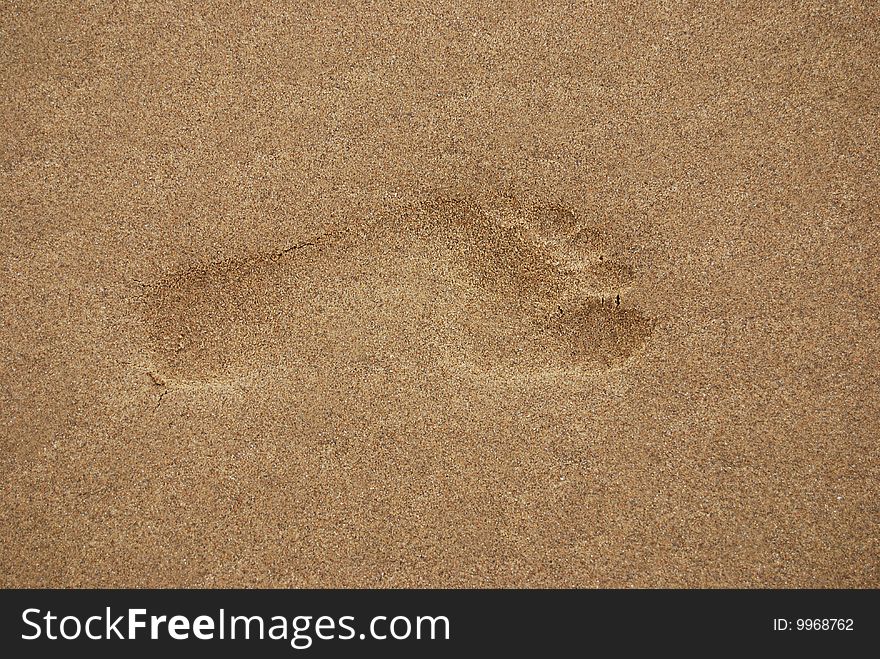 Foot in the sand on a beach. Foot in the sand on a beach.