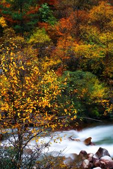 Fall Stock Image Fall Stock Image