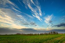 Sunset Over Green Crops Royalty Free Stock Image Sunset Over Green Crops Royalty Free Stock Image