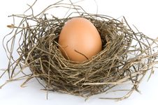 Egg In Nest Royalty Free Stock Photos Egg In Nest Royalty Free Stock Photos