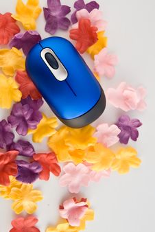 Blue Computer Mouse Royalty Free Stock Images
