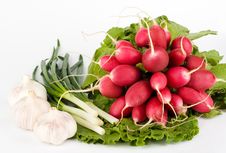 Spring Onions, Garlic, Lettuce And Radish Stock Image Spring Onions, Garlic, Lettuce And Radish Stock Image