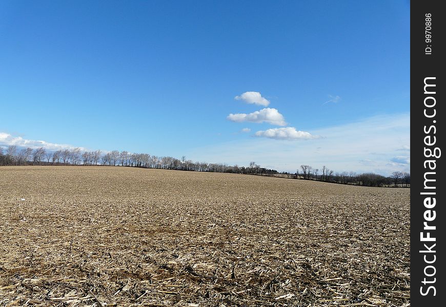 Shot of a soft blue sky above a dead corn field in the winter near Allentown PA. Shot of a soft blue sky above a dead corn field in the winter near Allentown PA.