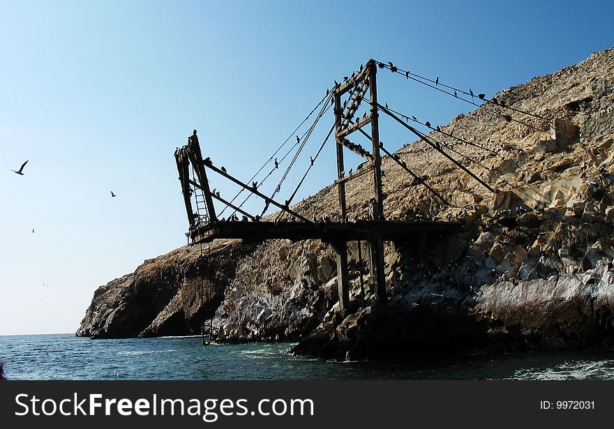 Thousands of birds have covered a worn structure on island of the coast of Peru. Thousands of birds have covered a worn structure on island of the coast of Peru.