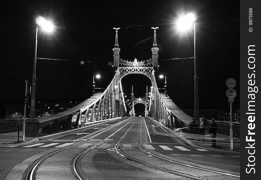 Freedom Bridge of Budapest at night