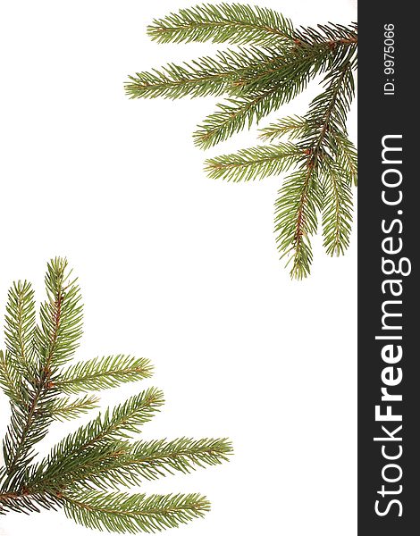 Branches of a Christmas tree decoratef like a frame on a withe isolated background with copy space. Branches of a Christmas tree decoratef like a frame on a withe isolated background with copy space