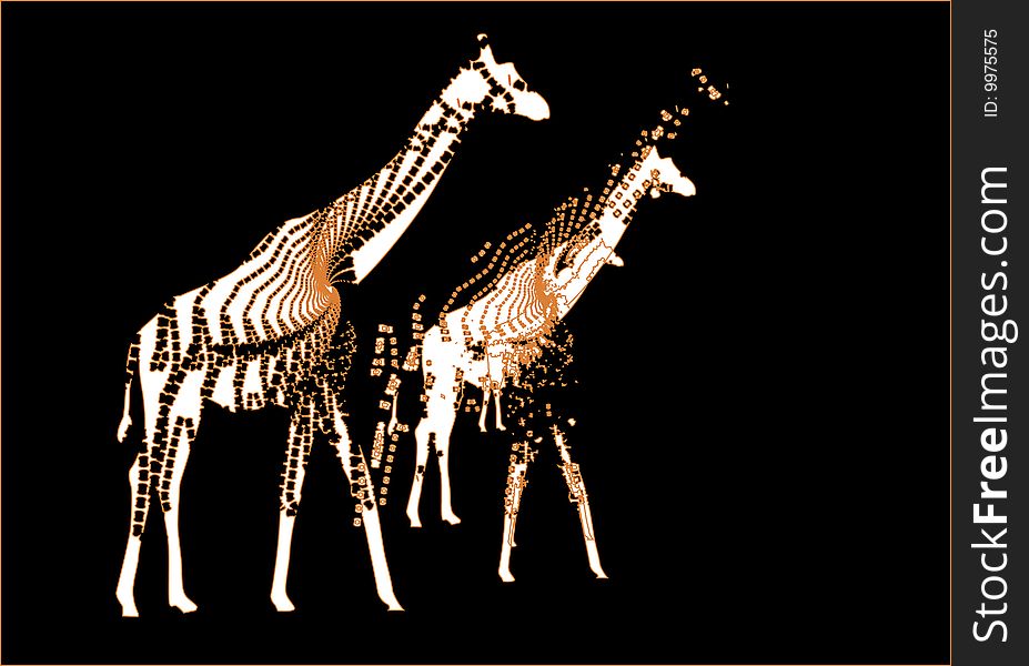 Giraffes on black background create a beautiful abstraction. Giraffes on black background create a beautiful abstraction
