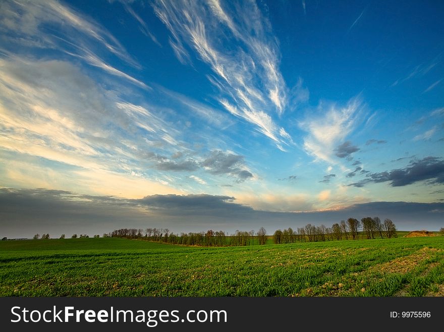 Sunset over green crops