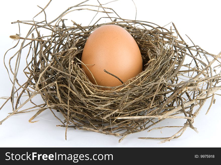 Egg in nest isolated on white