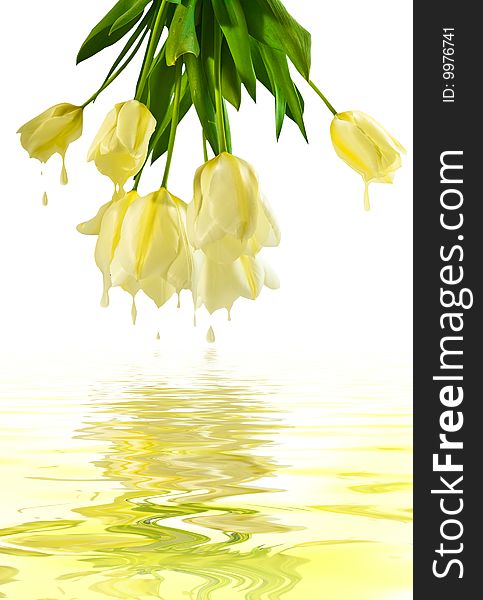 Bouquet of yellow tulips reflected in water. Bouquet of yellow tulips reflected in water