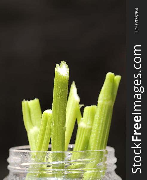 Celery slices on a dark background