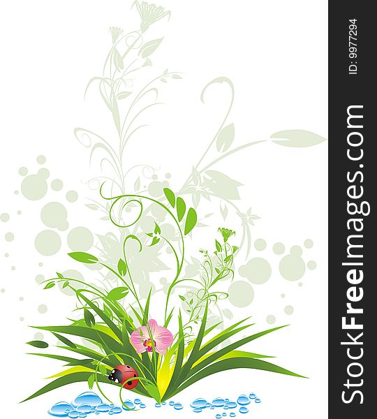 Grass, water and ladybird. Vector illustration