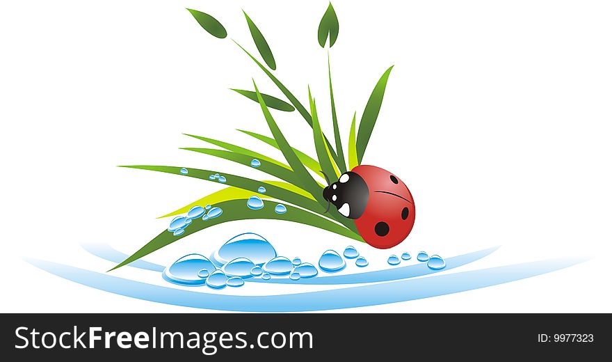 Grass, drops and ladybird. Vector illustration