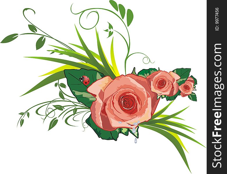 Roses, grass and ladybird. Vector illustration