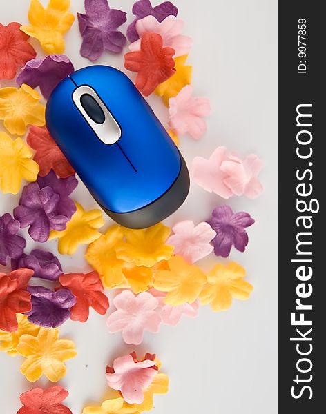 Blue Computer Mouse On The Flowers Field