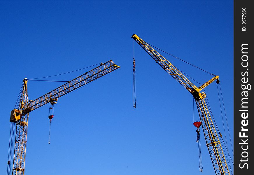 Yellow cranes against the background of the blue sky