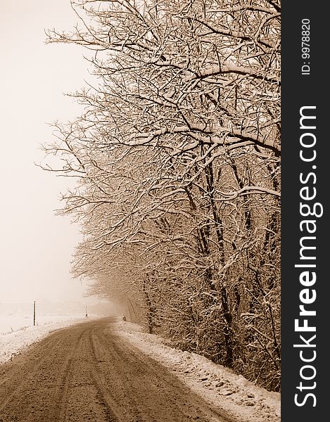 Driveway with tree and snow