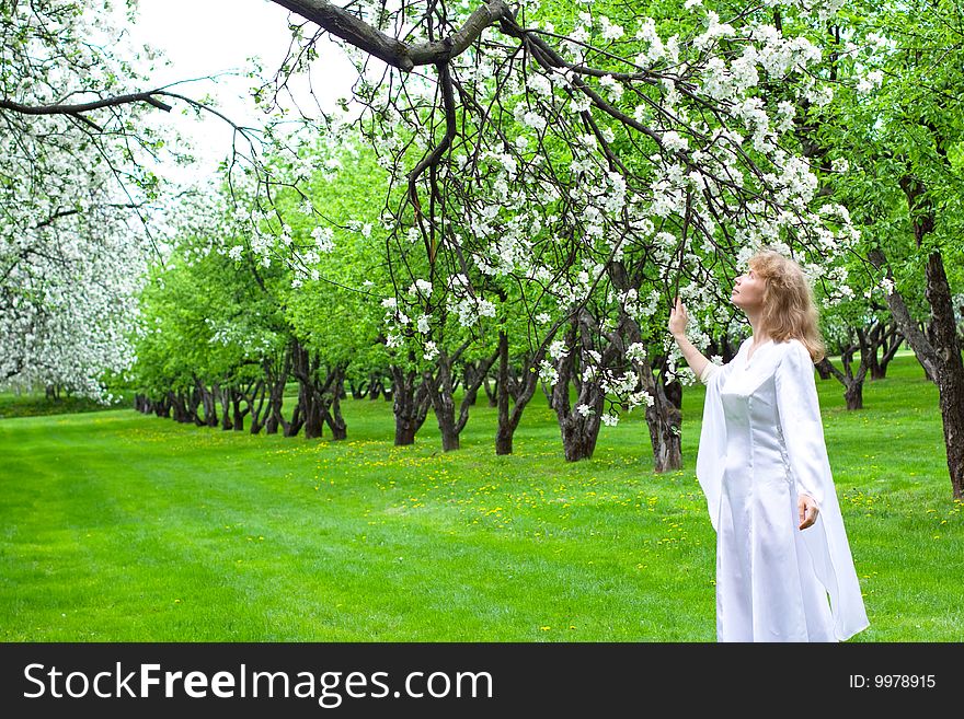 Tne blonde girl in white dress and apple-tree with white flowers. Tne blonde girl in white dress and apple-tree with white flowers