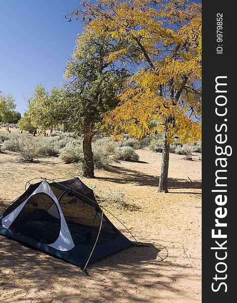 Campsite With Tent In Desert