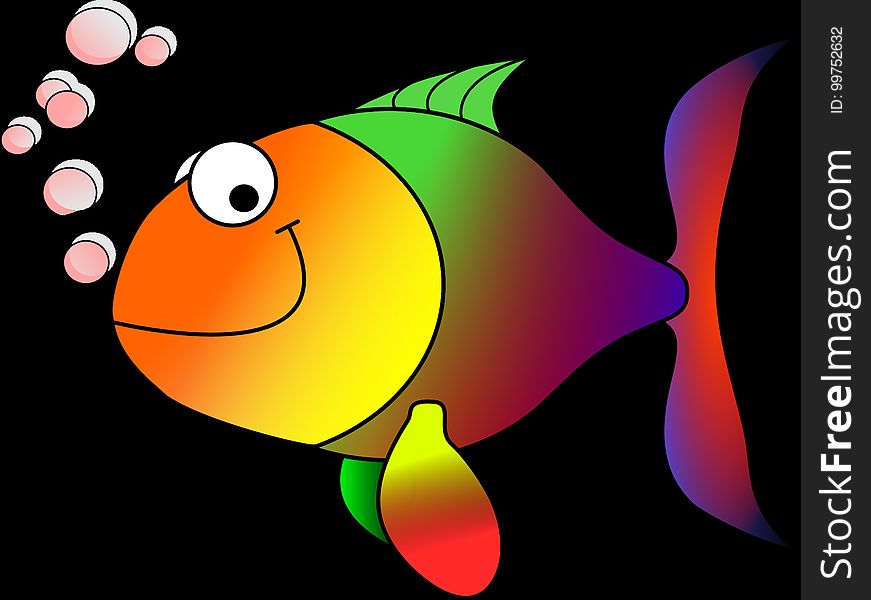 Fish, Vertebrate, Cartoon, Orange