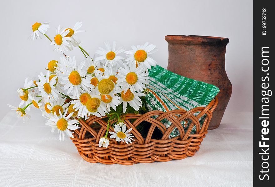 Flowerpot, Vase, Basket, Flower