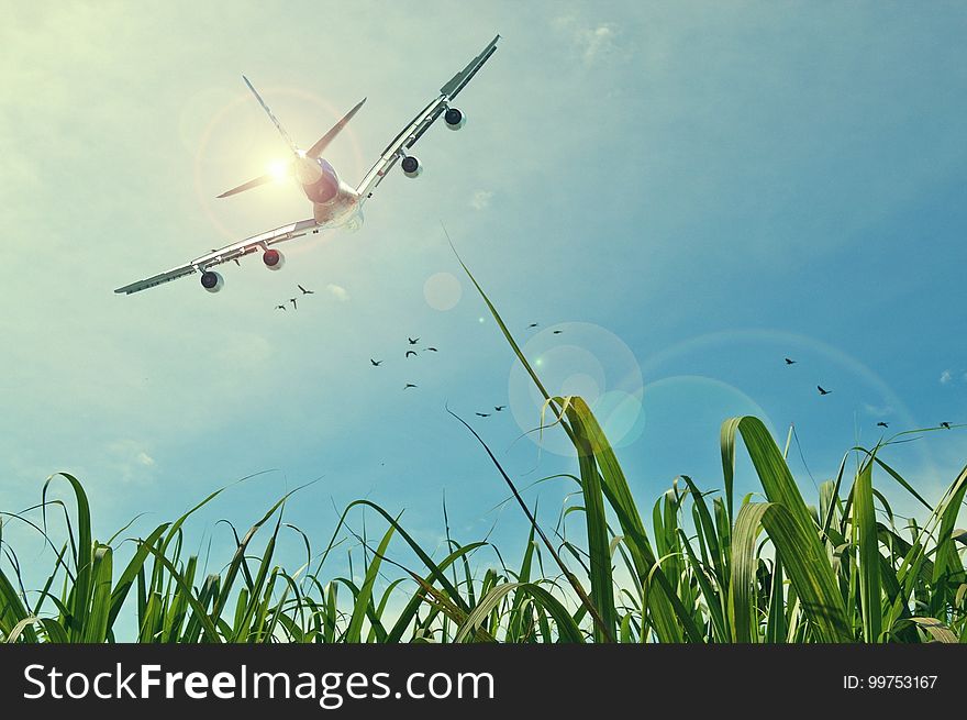 Sky, Atmosphere Of Earth, Grass, Air Travel
