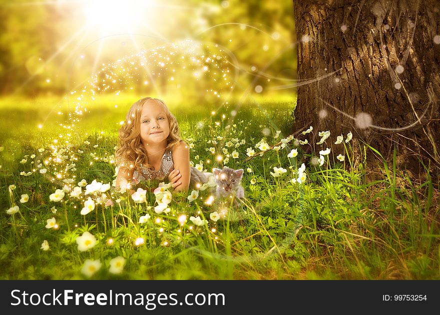 Nature, Photograph, Grass, Spring