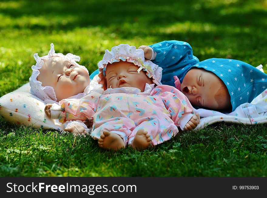 Infant, Child, Grass, Toddler