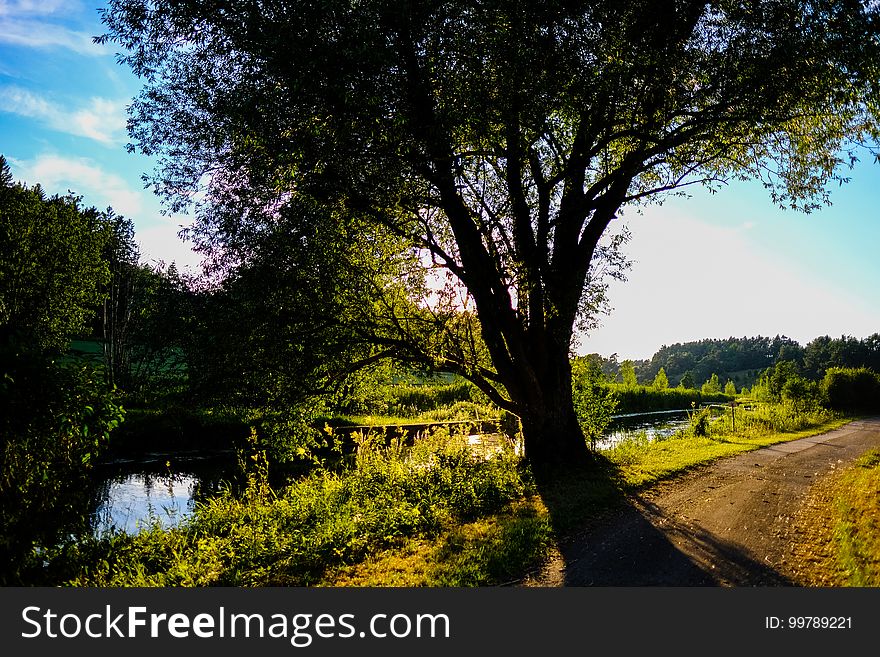 Fotos rund um Lupburg. Fotos rund um Lupburg