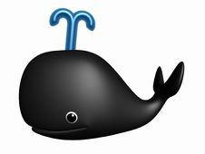 Whale Stock Images