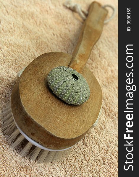 Sea urchin case and brush on bath towel. Sea urchin case and brush on bath towel