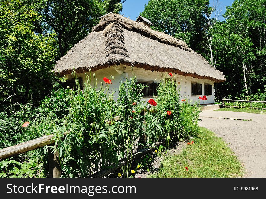 Traditional ukrainian village house