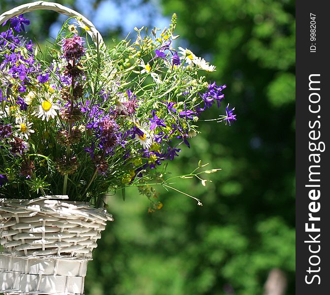 Fresh spring bouquet