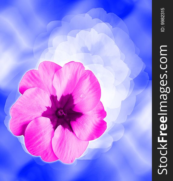 Fantasy - stylized pink flower on blue background. Fantasy - stylized pink flower on blue background
