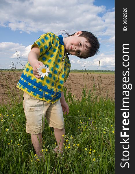 The Boy With Chamomille In The Hand