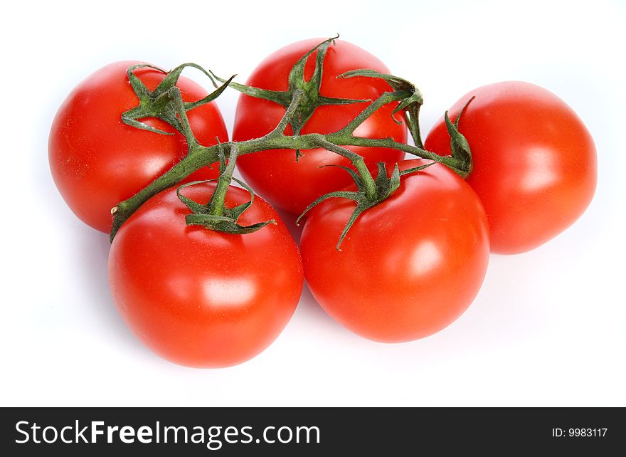 The branch with big ripe red tomatoes. The branch with big ripe red tomatoes