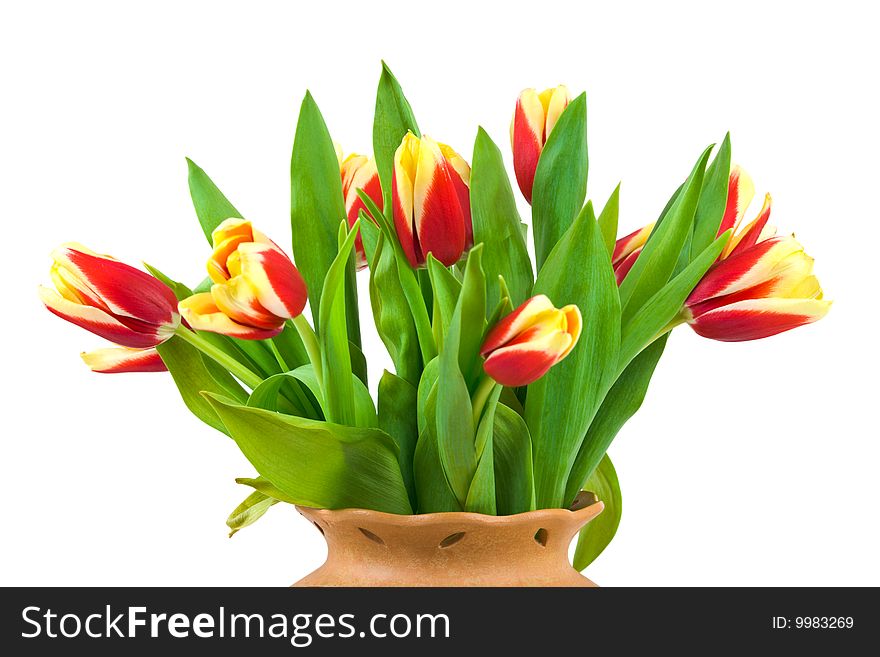 Flowers in vase isolated on white background