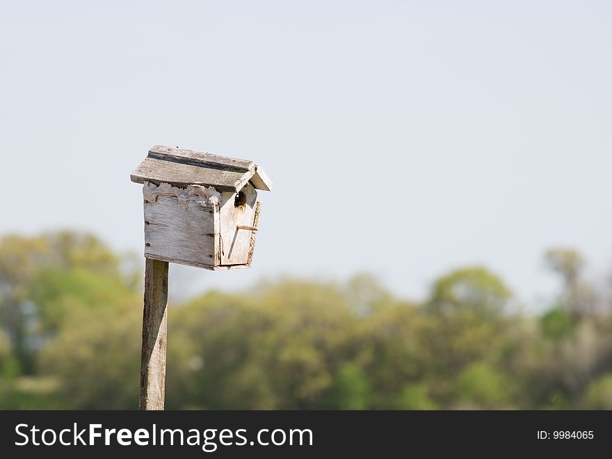 Small bird house atop a pole with the background out of focus