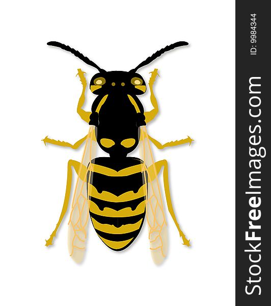 Bee illustration also available in vector format