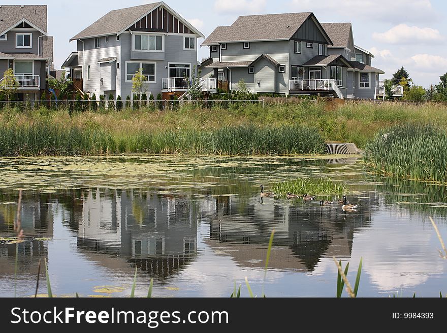 Pond in the middle of a subdivision. Pond in the middle of a subdivision.